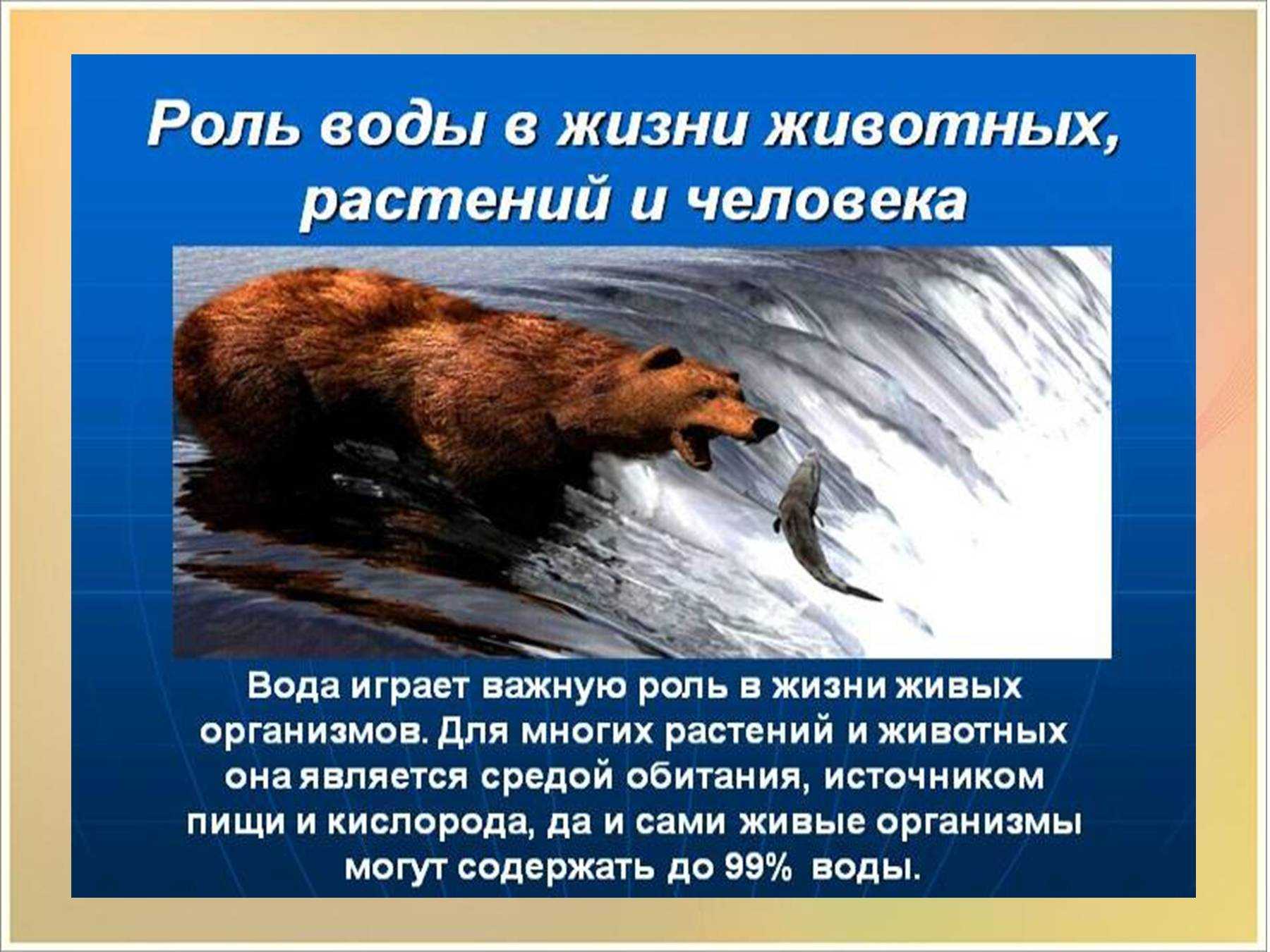 Гдз окружающий мир 3 класс плешаков, крючкова - учебник