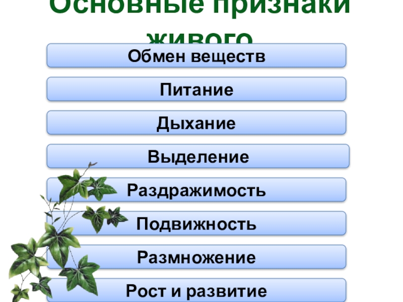 Неживая и живая природа. учебник, с. 24 – 25 |  развивайка