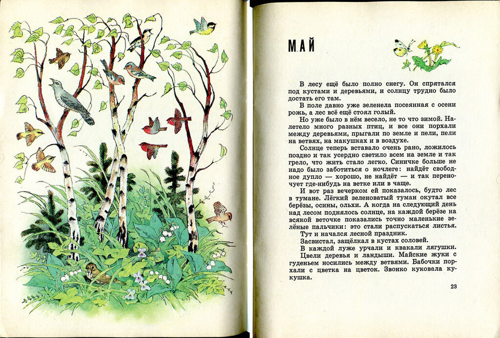 Сказка лето, виталий бианки - читать для детей онлайн 👶🏻 (скачать в doc и pdf) ❤️