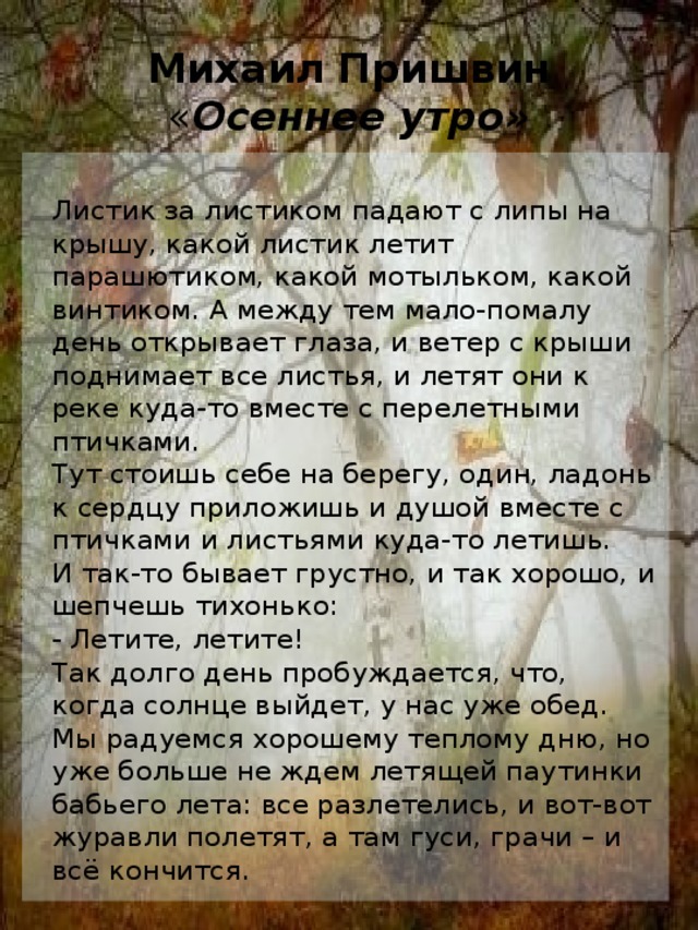 Красивые стихи известных поэтов про осень ☂🍁