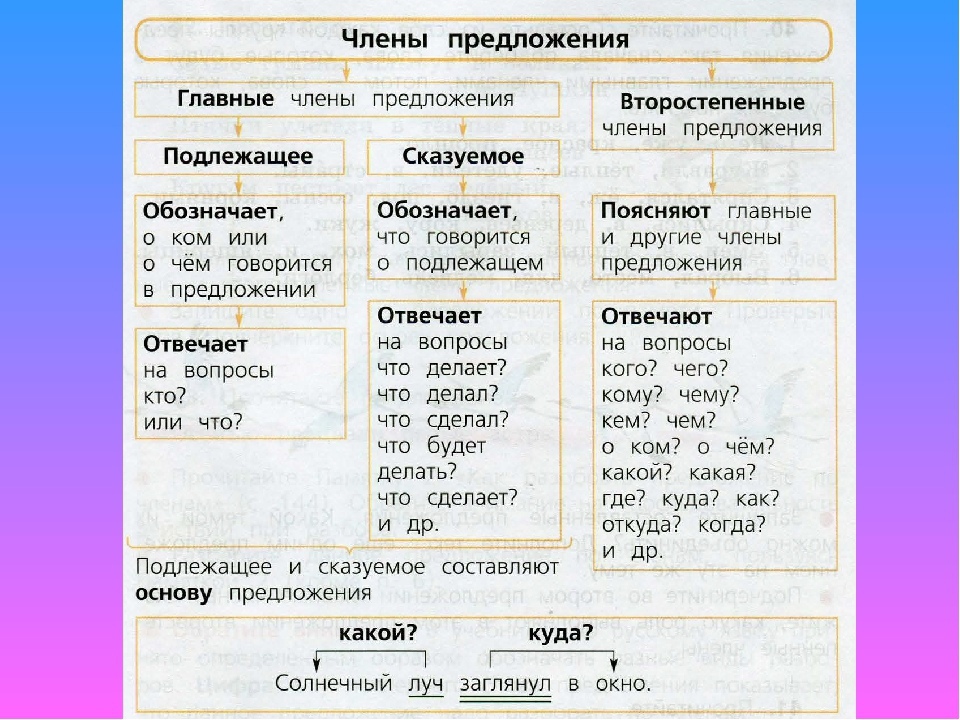 Окружающий мир 4 класс плешаков рабочая тетрадь 1 часть — страницы 33, 34, 35, 36