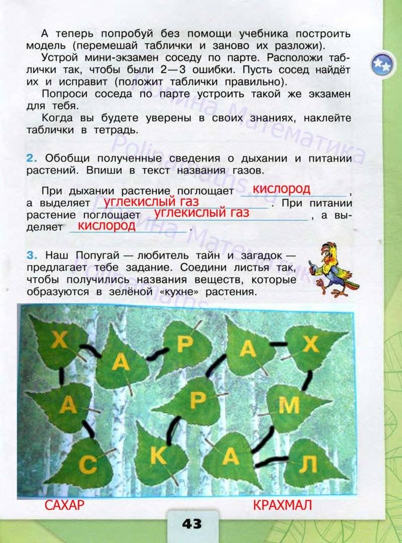 Гдз к рабочей тетради по окружающему миру 3 класс плешаков – 1, 2 часть