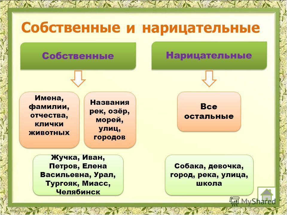 Имя существительное как часть речи