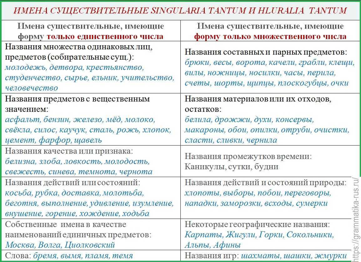 Выпишите в два столбика существительные употребляющиеся а только в ед числе б только множ числе