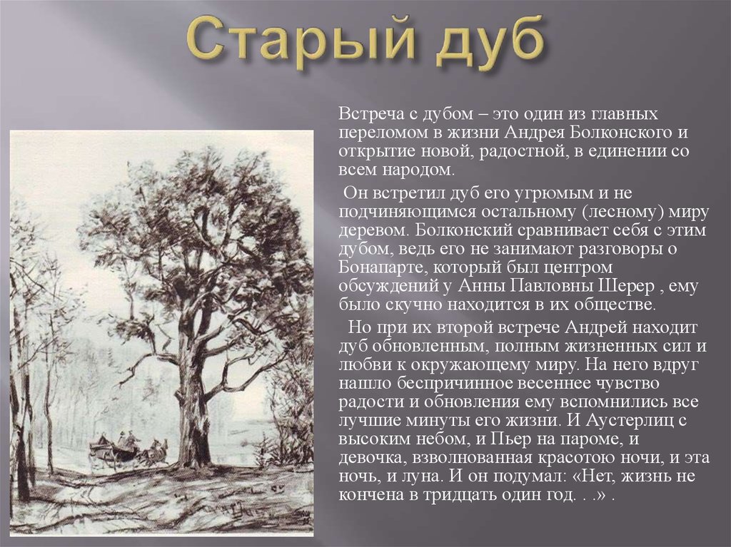 Князь багратион в романе «война и мир»: образ, характеристика, обед в честь багратиона