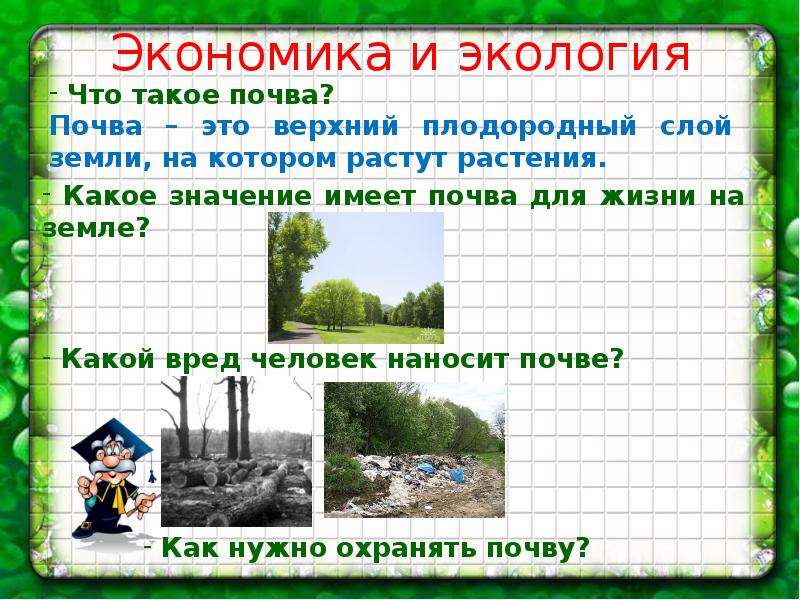 Страница 51-57 гдз по окружающему миру 3 класс плешаков, рабочая тетрадь 2 часть 2023
