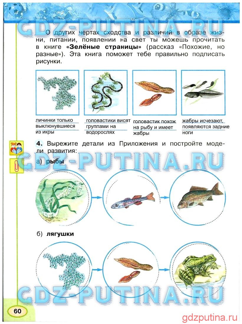 Числа от 1 до 100 Умножение и деление 75 Масса одного пакета с картофелем 4 кг Сколько килограммов картофеля в 7 таких пакетах 4 • 7  28 кг – в 7 пакетах