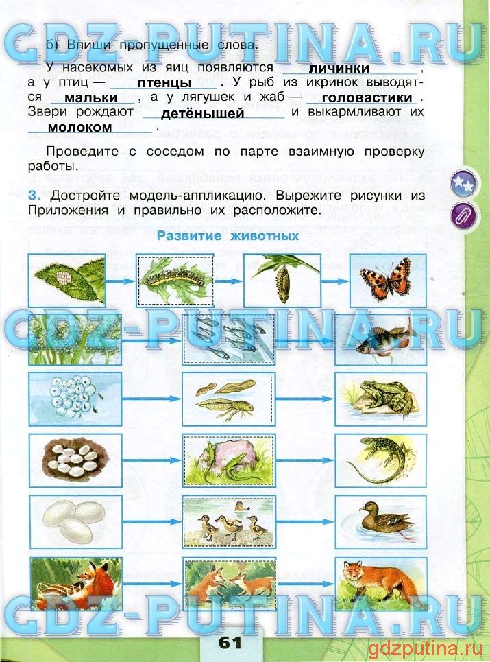 Логические задачи 4 класс по математике