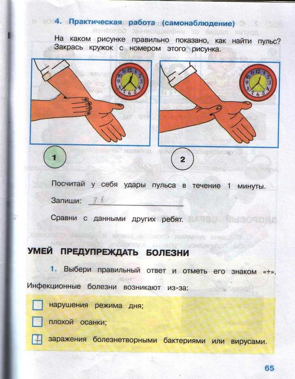 Окружающая среда 3 класс рабочая тетрадь стр 72