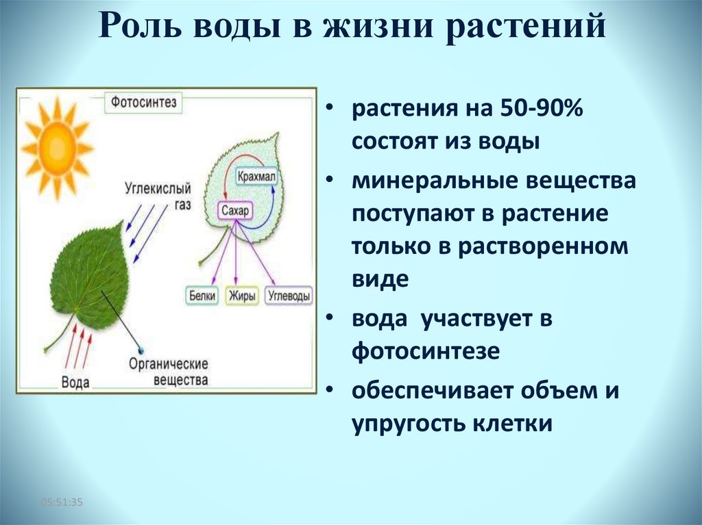 Гдз решебник по окружающему миру 3 класс плешаков, крючкова учебник просвещение
