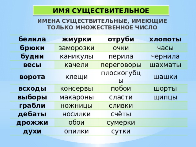 Имя существительное как часть речи