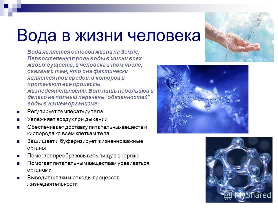 Плешаков. 3 класс. учебник №1, с. 51 – 54 |  развивайка