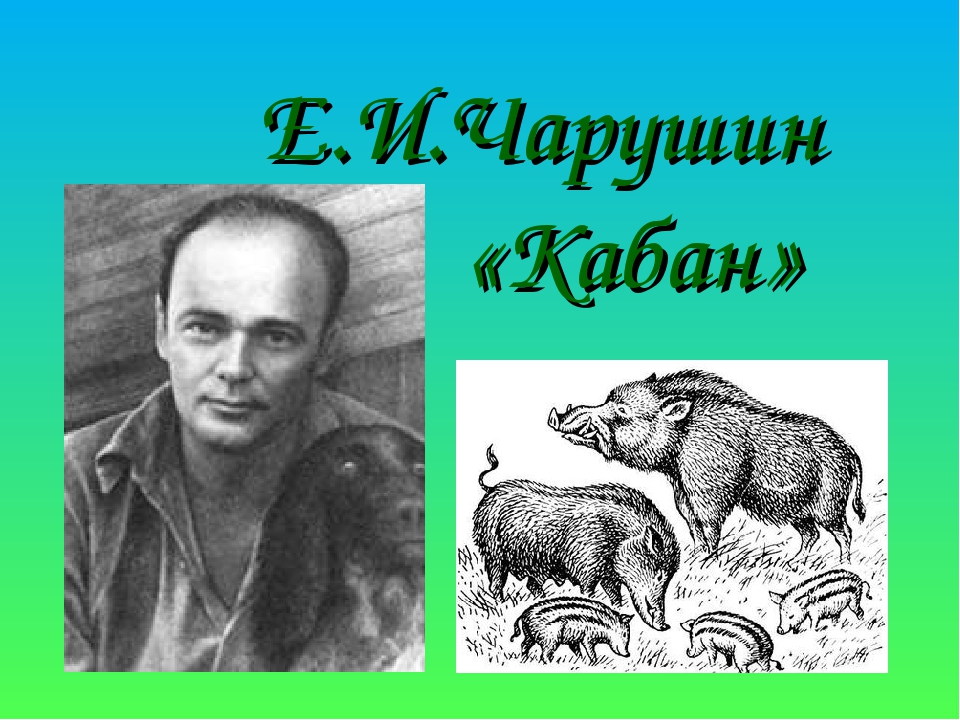 Кабаны—евгений чарушин | мир классической поэзии и прозы