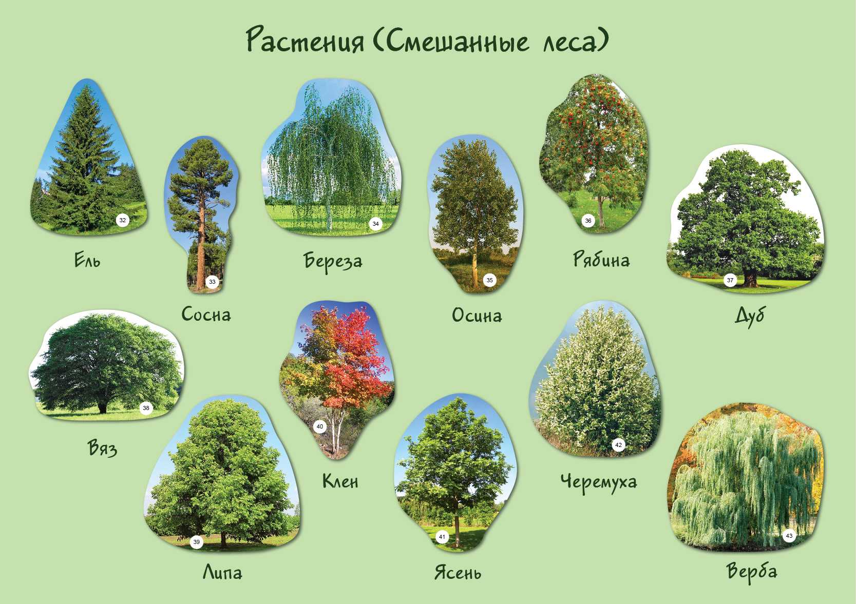 Гдз и решебник русский язык 4 класс канакина, горецкий - учебник