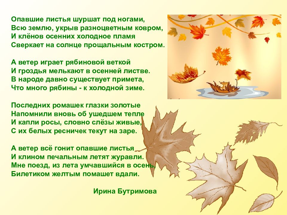 Музыкальные произведения о природе: подборка хорошей музыки с рассказом о ней
