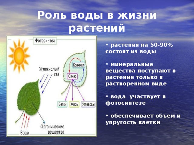 Гдз к рабочей тетради по окружающему миру 3 класс плешаков – 1, 2 часть