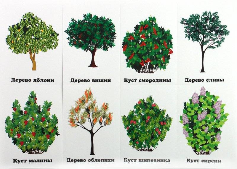 Диктанты на тему "осень" для 4 класса