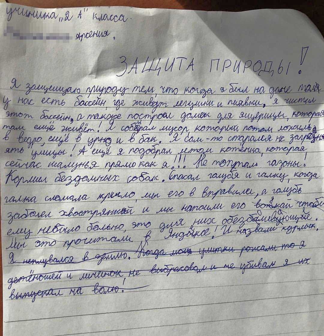 Сочинение о отдыхе в питере