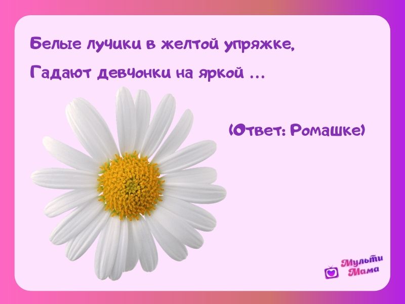 Загадки про цветы - подготовка к школе и развивающие задания для детей мама7я