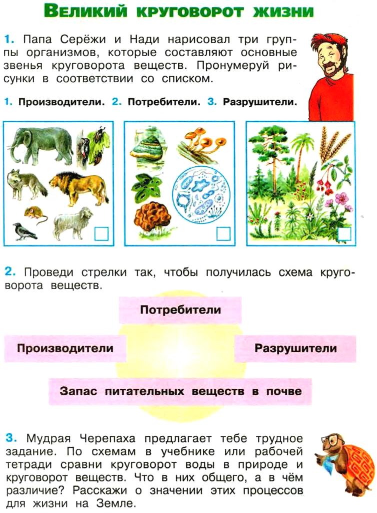 Гдз по математике 3 класс рабочая тетрадь моро (1, 2 часть)