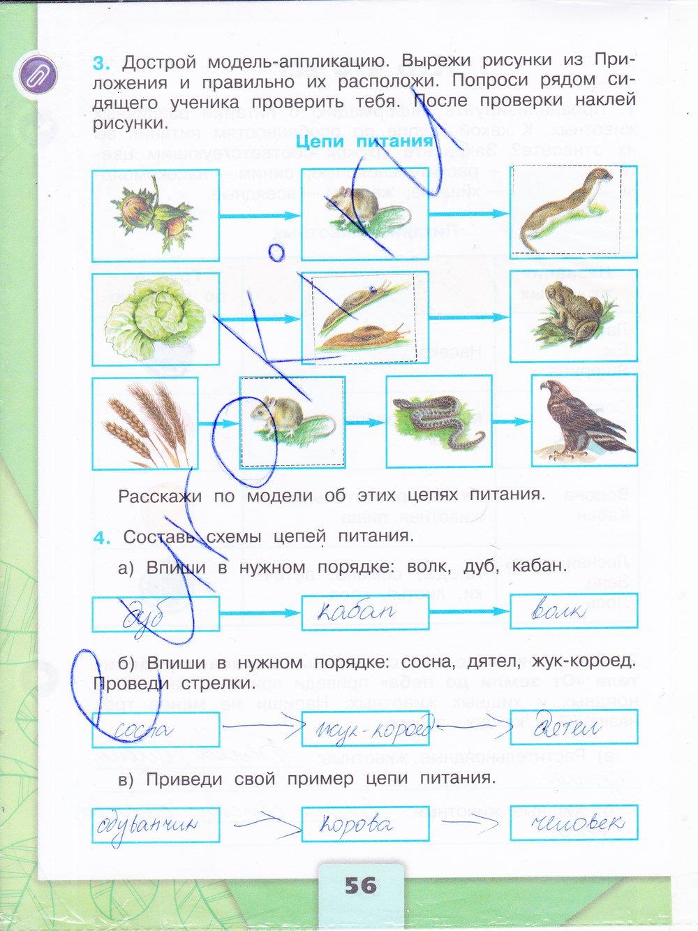 Контрольная работа по математике 3 класс | 4 четверть | числа от 1 до 100. нумерация. сложение и вычитание