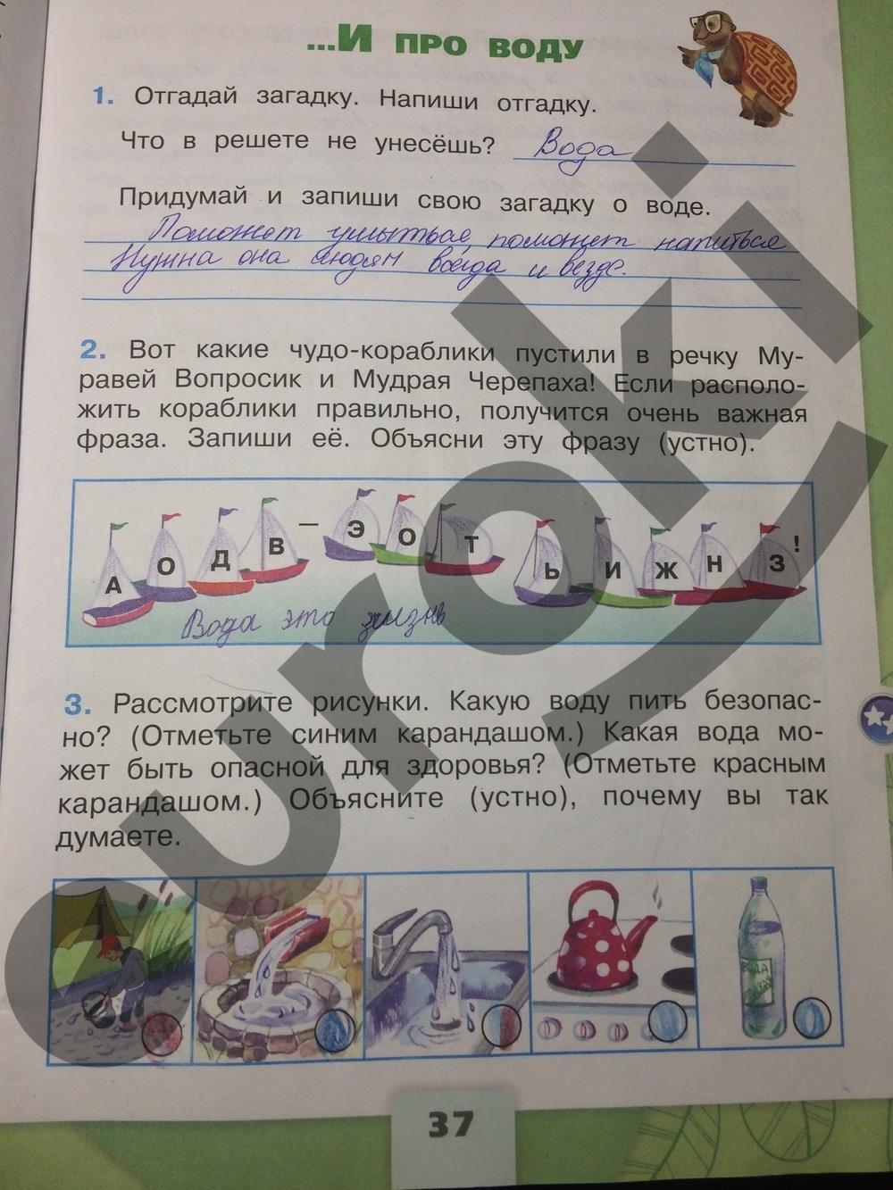 Растения и их группы в таблице (2 класс, окружающий мир)
