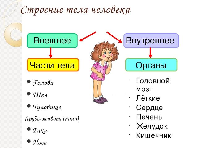 Цифры от 1 до 10 для печати — скачиваем детям
