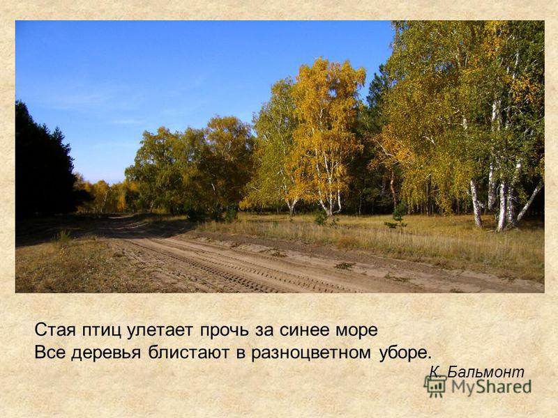 Понемногу: ответы на вопросы учебника к рассказу м. пришвина "осеннее утро" для 2 класса