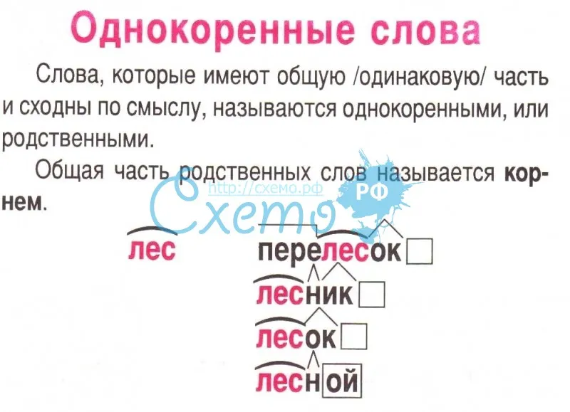 Однокоренные слова 2 класс - chvuz.ru