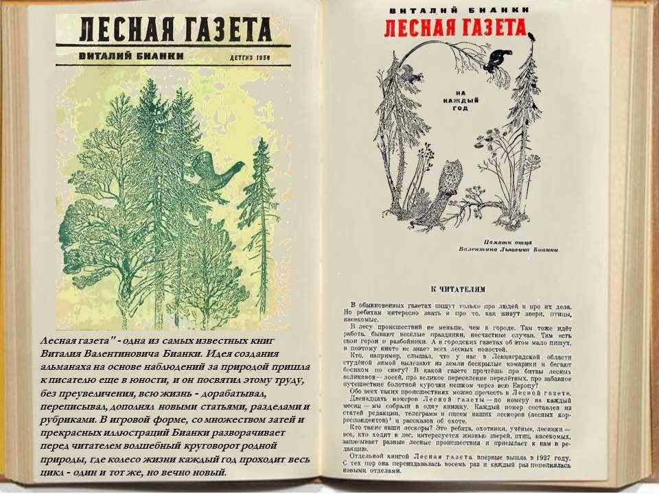 Лесная газета - краткое содержание рассказа бианки (сюжет произведения)