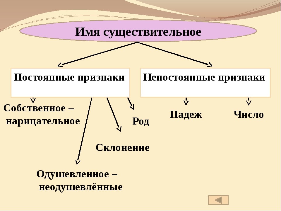 Грамматические признаки частей речи