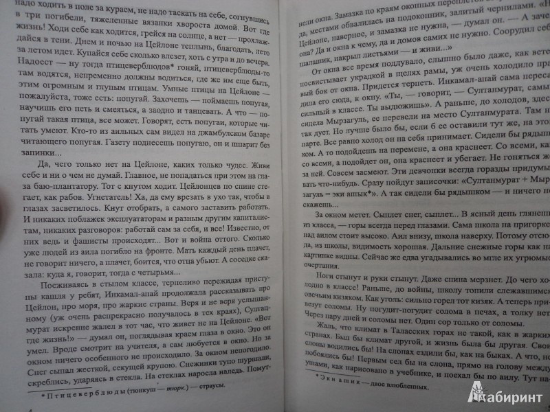 Краткое содержание «белый пароход»