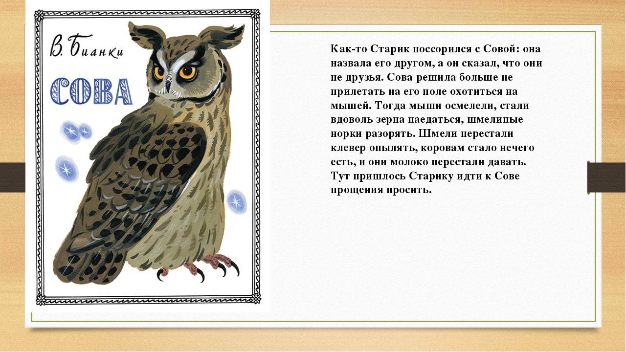 Бианки в. “сова”. читательский дневник, краткое содержание