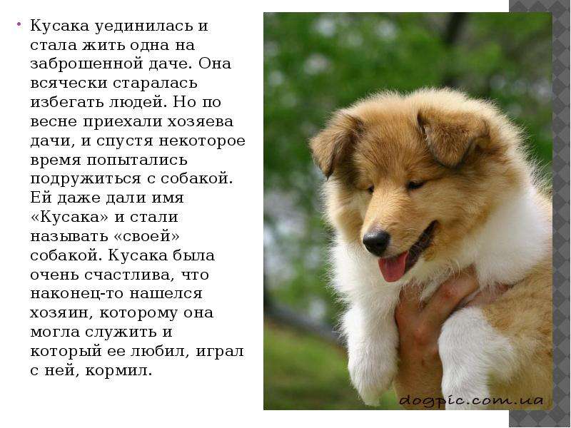 Сочинение по произведению горе от ума (9 класс)