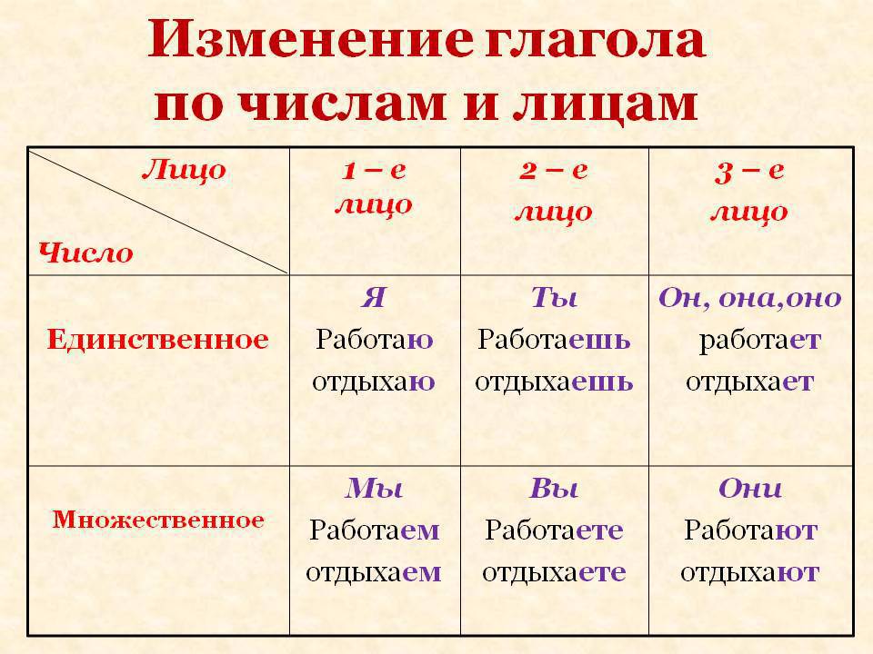 Эссе на тему охрана окружающей среды - универсальный справочник - энциклопедия