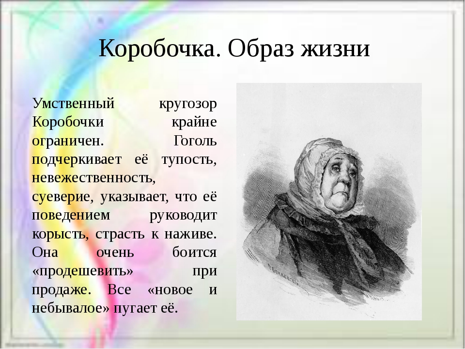Характеристика коробочки (школьникам и студентам) - знания!