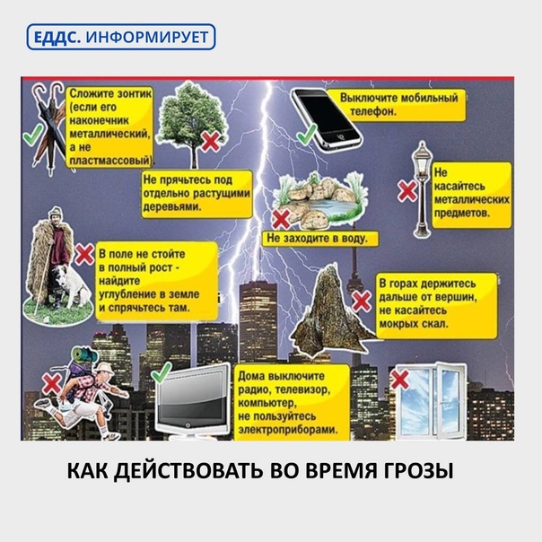 Сочинение правила безопасного поведения на воде и в лесу.