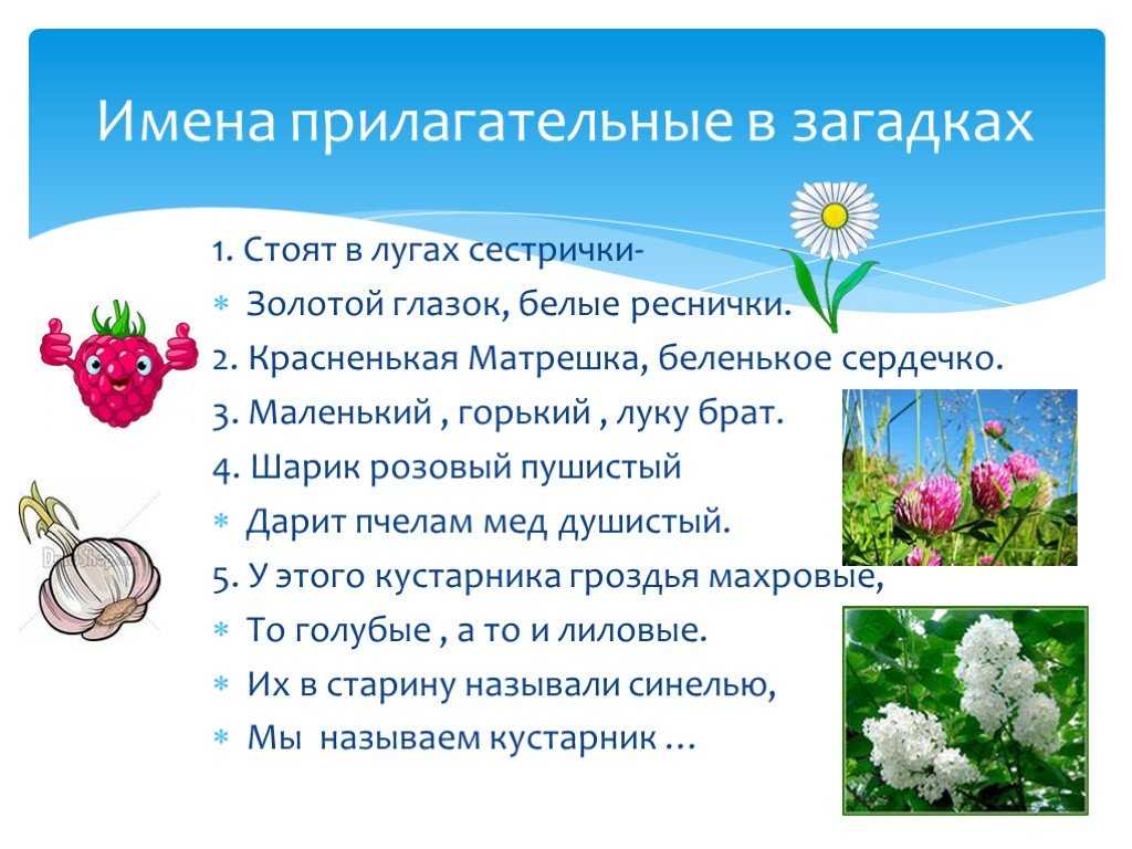 Готовые проекты по русскому языку 3 класс имена прилагательные в загадках (6 видео) | история русского языка 📕