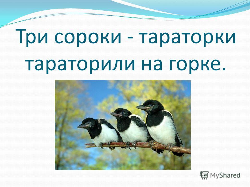 Впр 4 класс русский язык 2024 демоверсия — комплект 1 вариант 1 с ответами