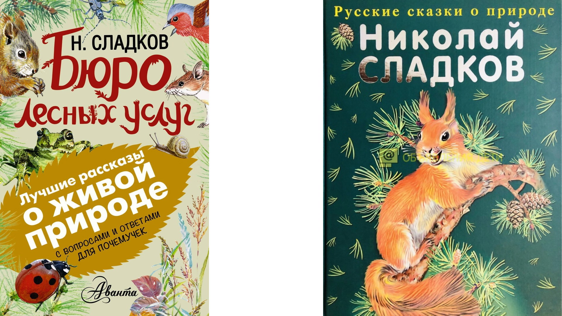 Читать сказку лесные сказки - сладков н. - отечественные писатели, онлайн бесплатно с иллюстрациями.