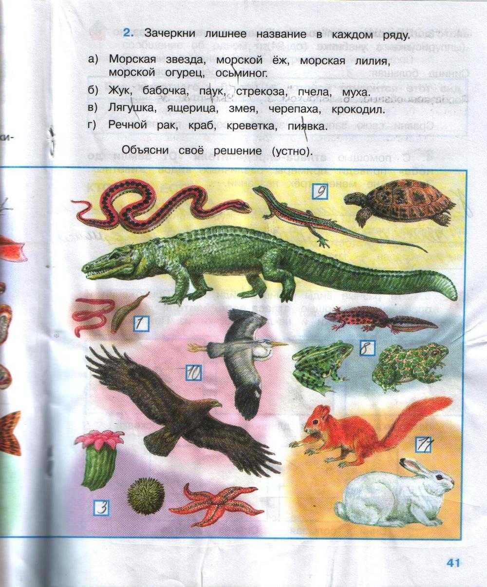 Гдз по окружающему миру для 3 класса плешаков, новицкая (1 и 2 часть)