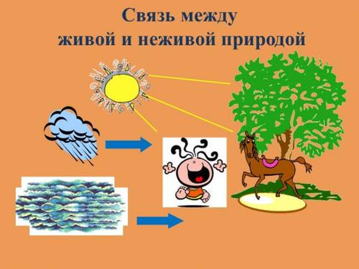 Окружающий мир