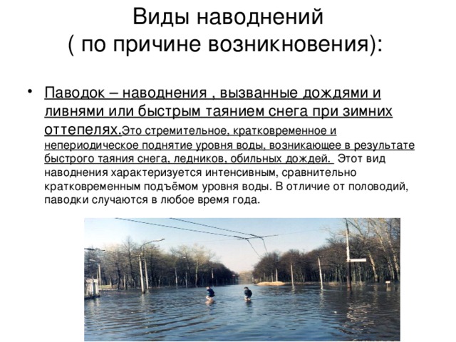 Сочинение-описание картины «наводнение», комаров (2 варианта - кратко и подробно)