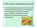 Testsoch.ru
