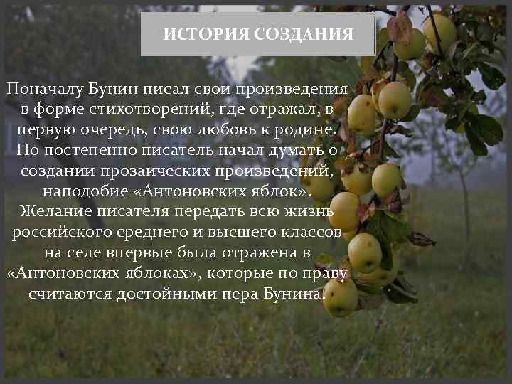 ✅ антоновские яблоки в чем смысл рассказа. анализ рассказа и.бунина "антоновские яблоки" - radostvsem.ru