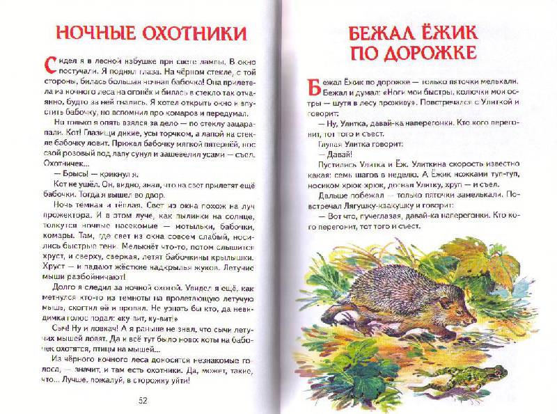 Лесные тайнички николая сладкова
