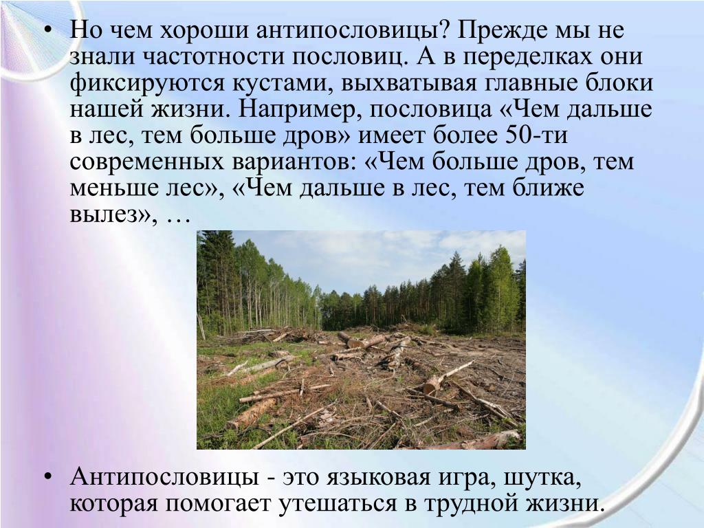 Пословица вывод: значение и особенности