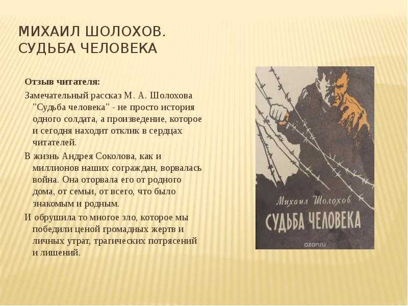 История жизни вани из рассказа судьба человека. урок литературы на тему "судьба ванюши по рассказу м.а