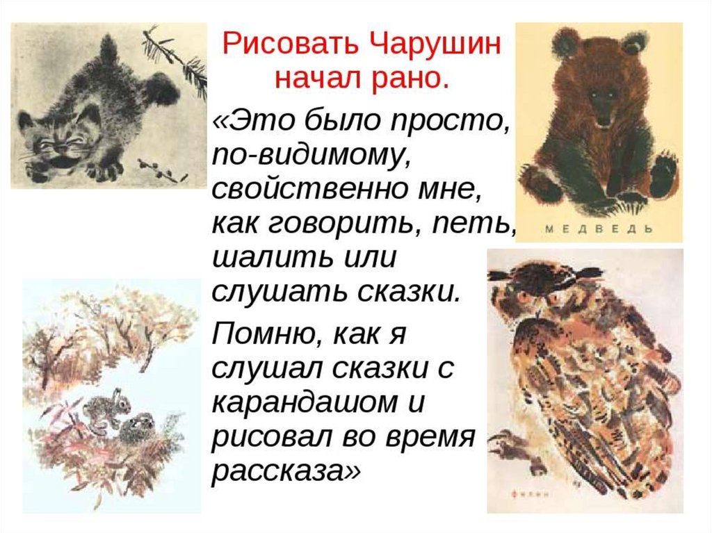 Рассказ кабаны читать с картинками онлайн полностью, чарушин е. и. для детей