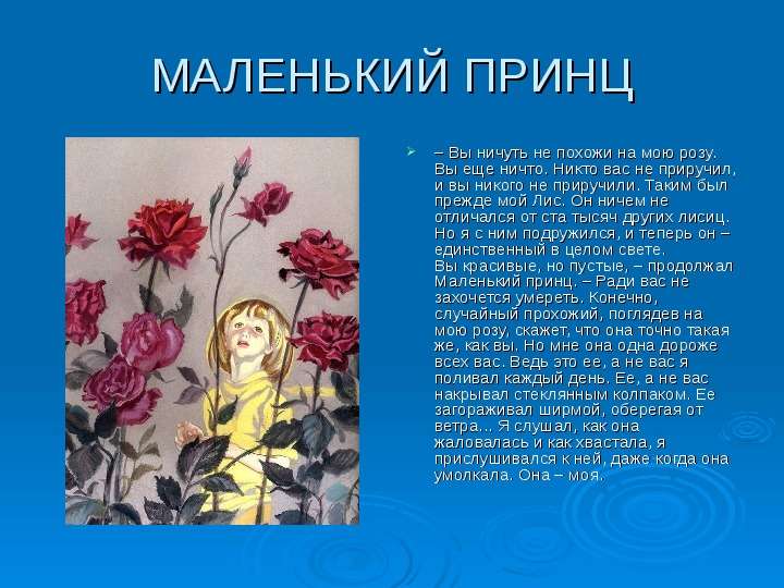 Сочинение маленький принц и роза - примеры для егэ
